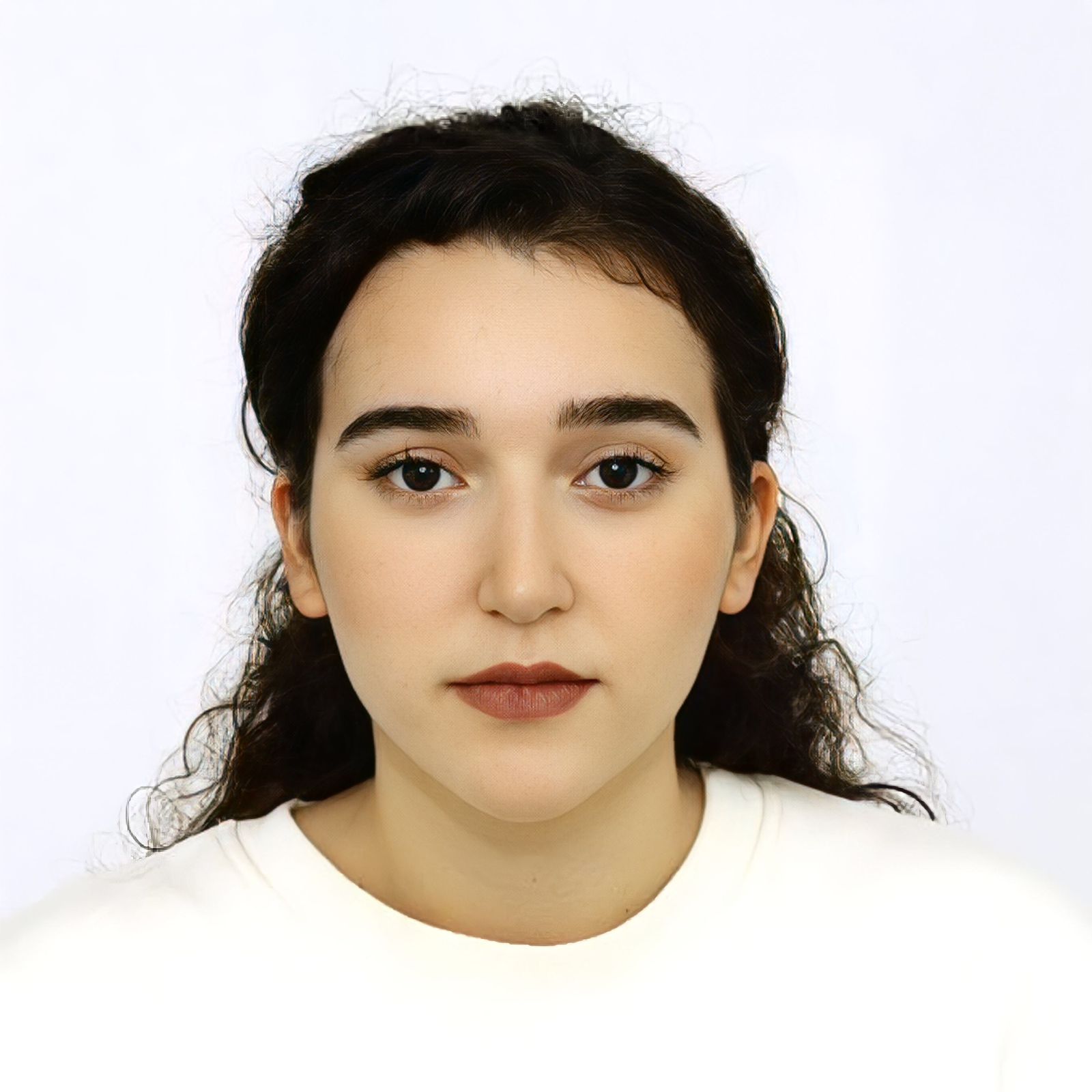 Erisa halipaj resume
